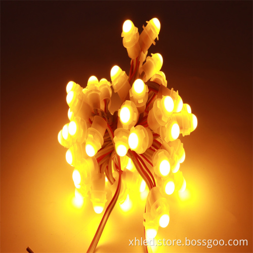 IP67 Waterproof 9mm SMD2025 Single Color Digital LED Pixel Lights for Christmas Decorations